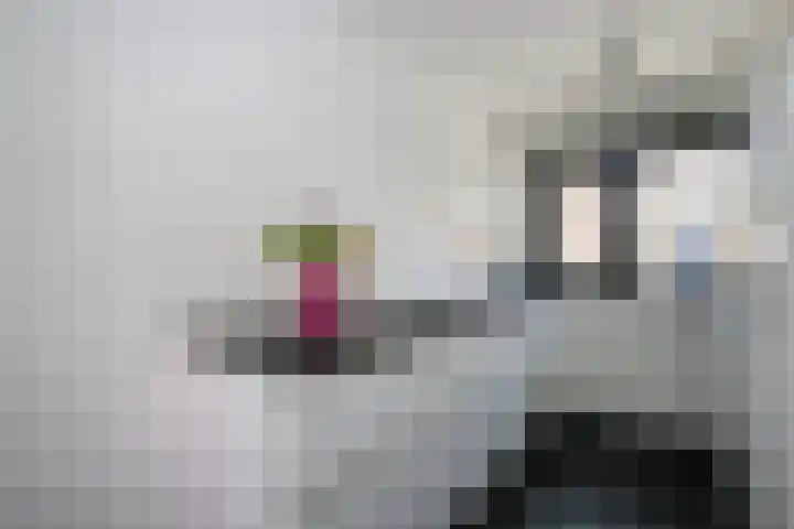 Anjerveld 27 Nieuwerkerk aan den IJssel thumbnail 8