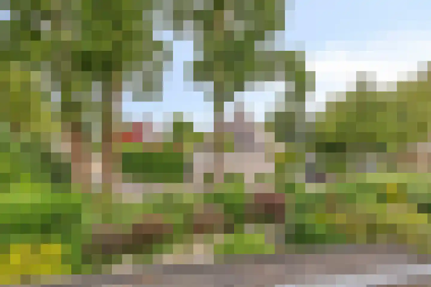 Anjerveld 32 Bergen op Zoom thumbnail 28