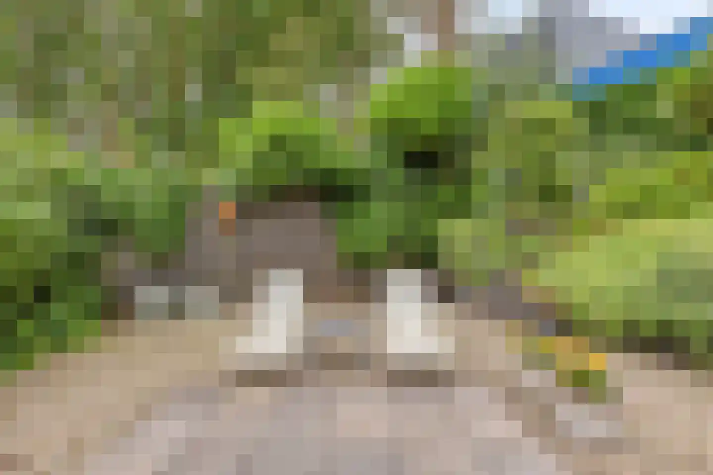 Anjerveld 32 Bergen op Zoom thumbnail 30