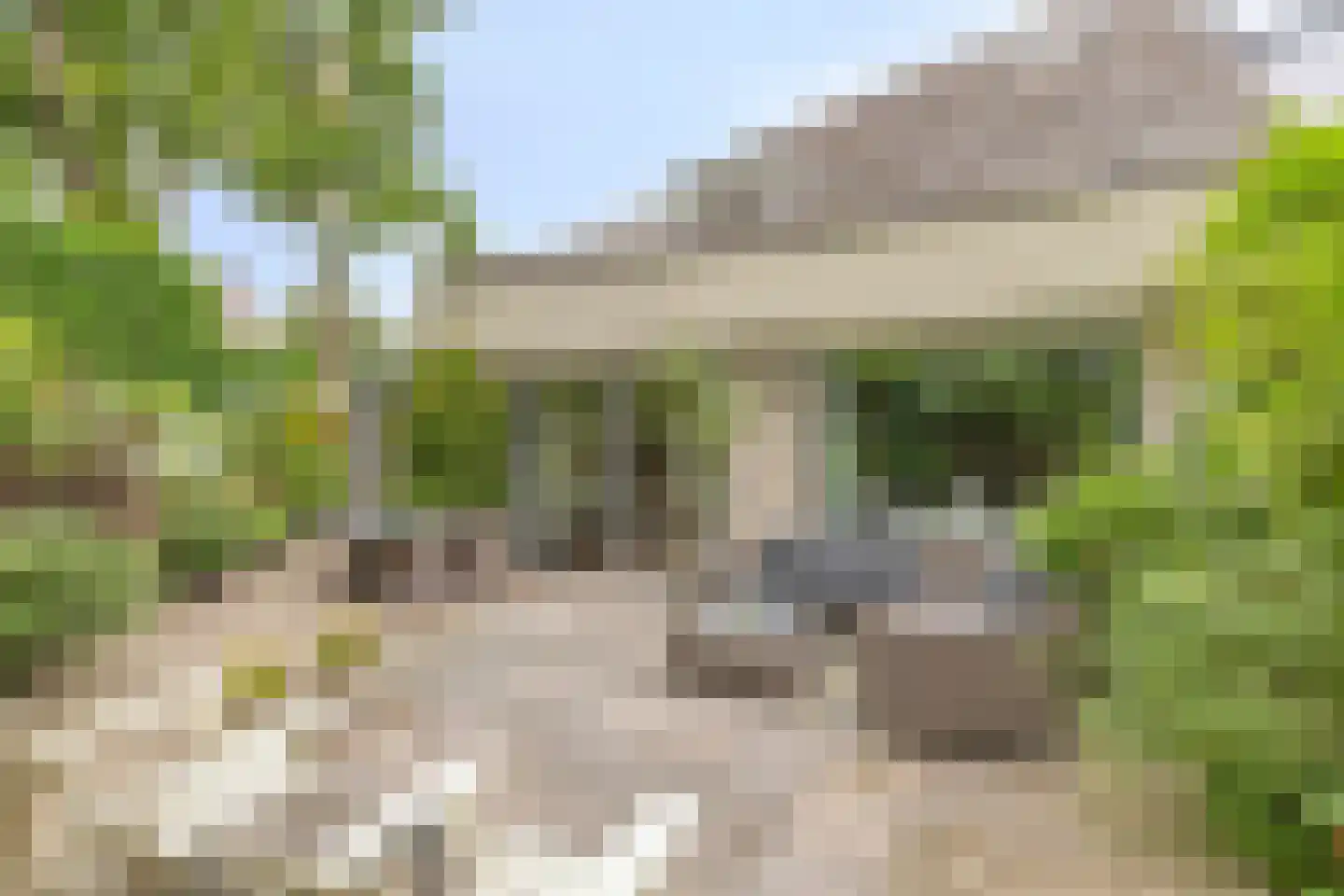 Anjerveld 32 Bergen op Zoom thumbnail 31