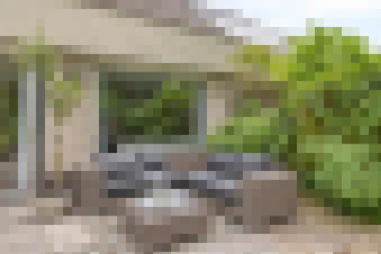 Anjerveld 32 Bergen op Zoom thumbnail 32