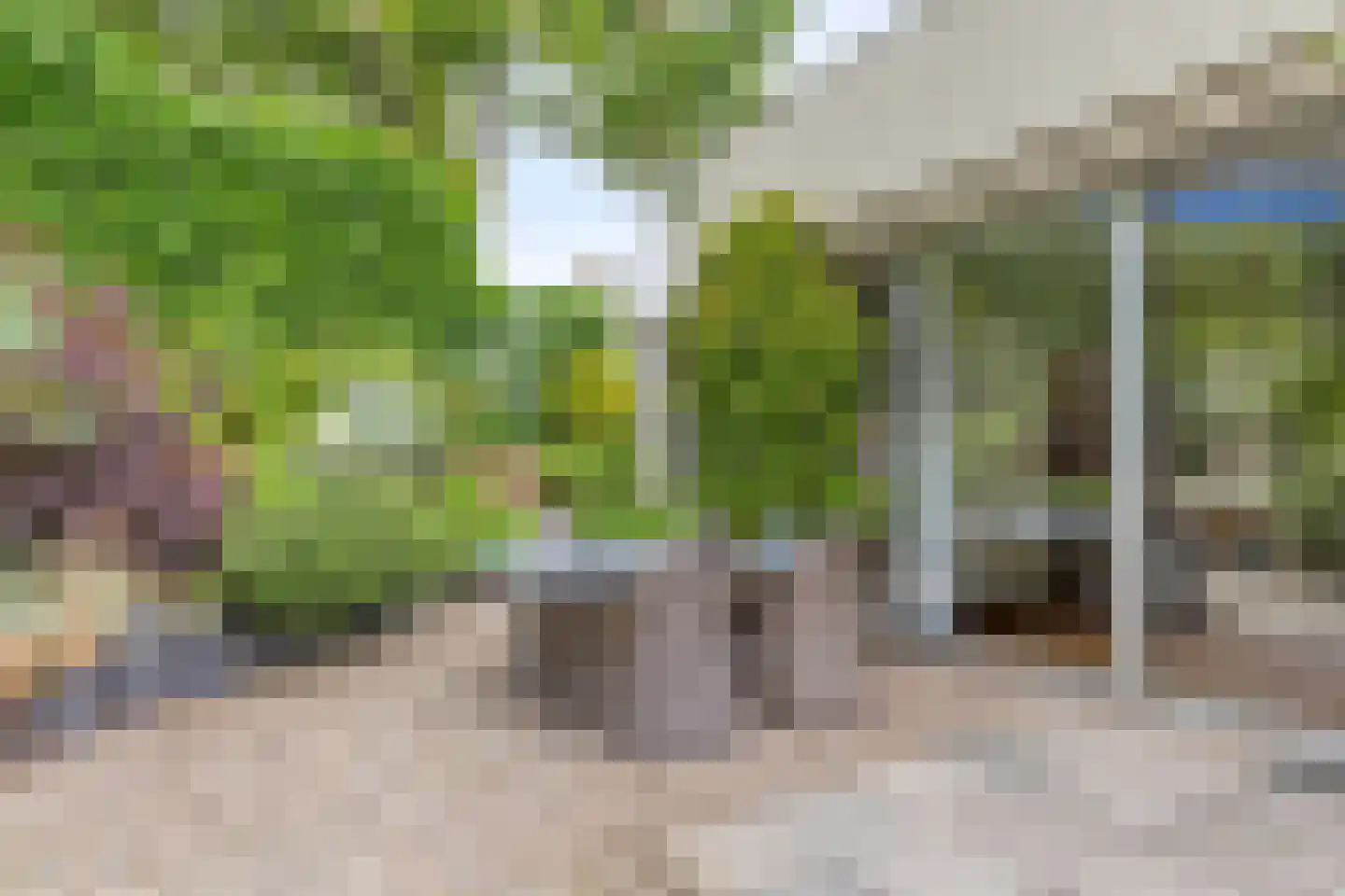 Anjerveld 32 Bergen op Zoom thumbnail 33