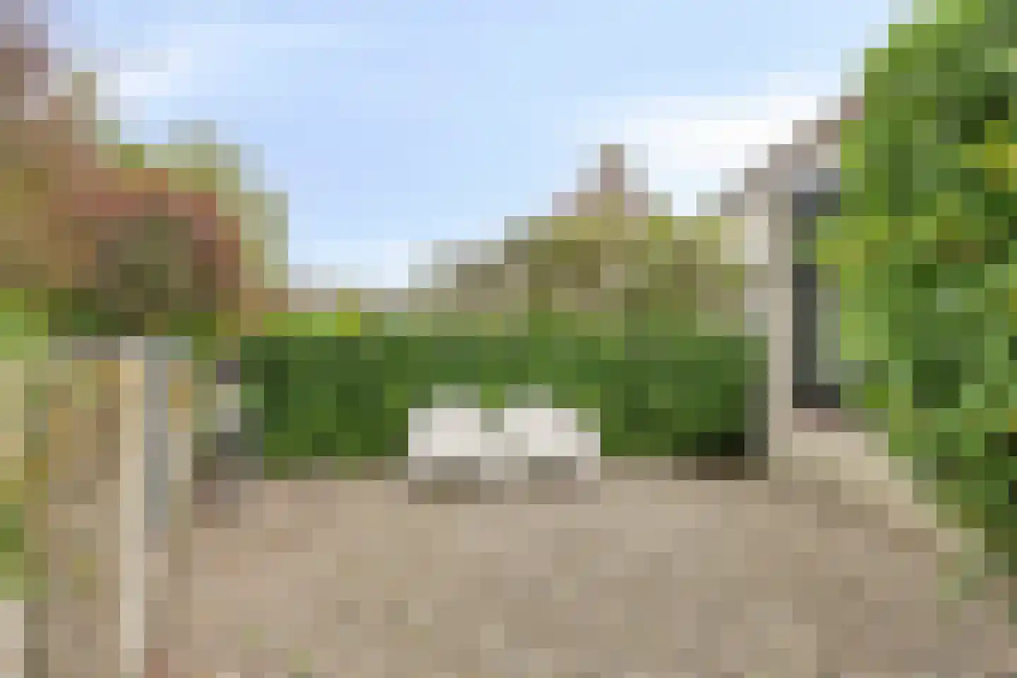Anjerveld 32 Bergen op Zoom thumbnail 34