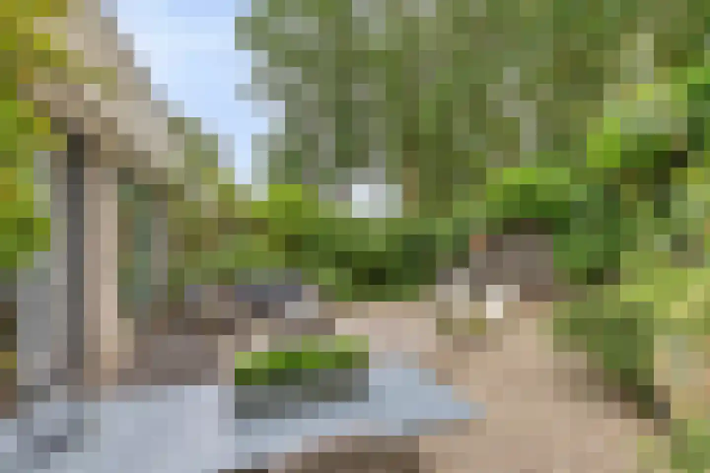 Anjerveld 32 Bergen op Zoom thumbnail 35