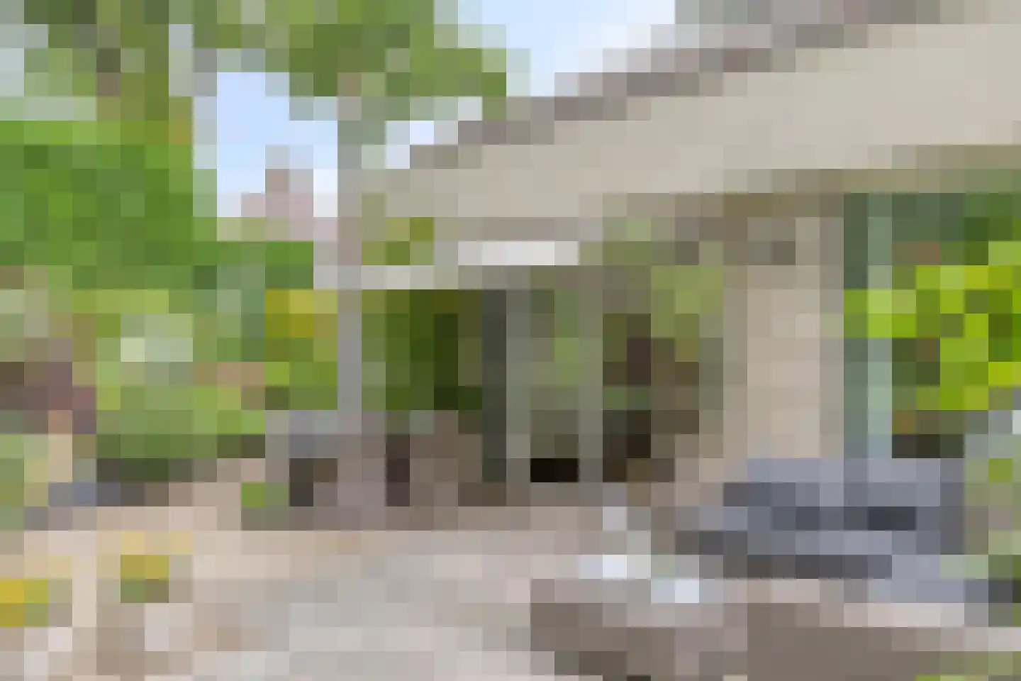 Anjerveld 32 Bergen op Zoom thumbnail 36