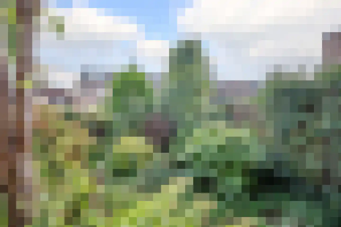 Anjerveld 51 Nieuwerkerk aan den IJssel thumbnail 29