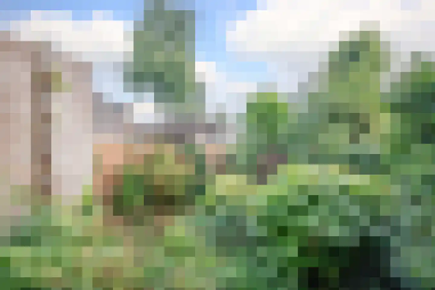 Anjerveld 51 Nieuwerkerk aan den IJssel thumbnail 30