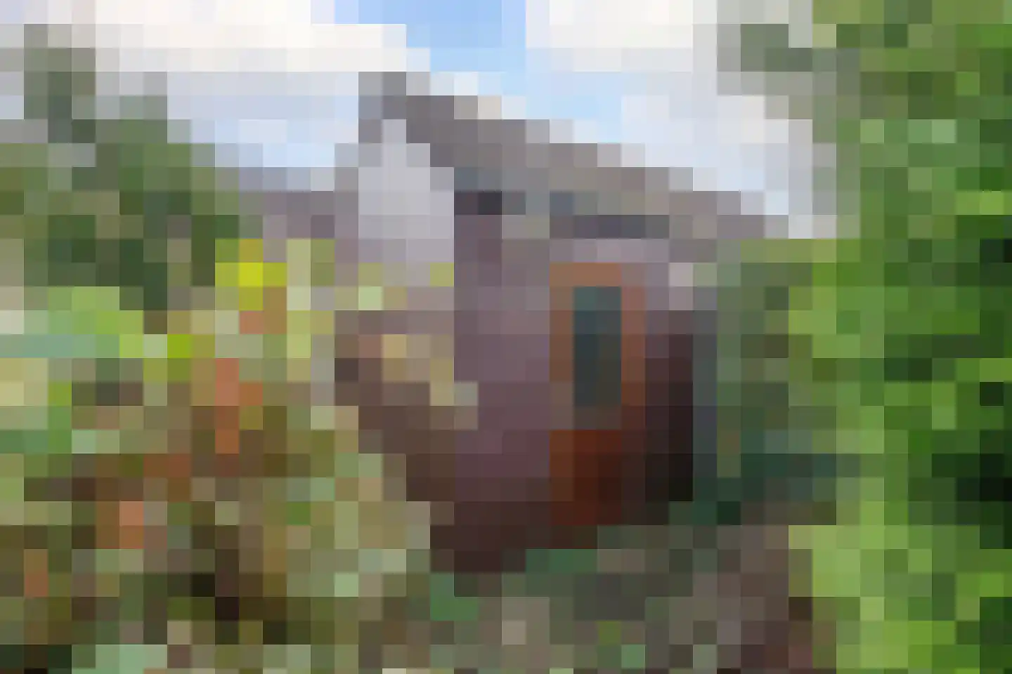 Anjerveld 51 Nieuwerkerk aan den IJssel thumbnail 31