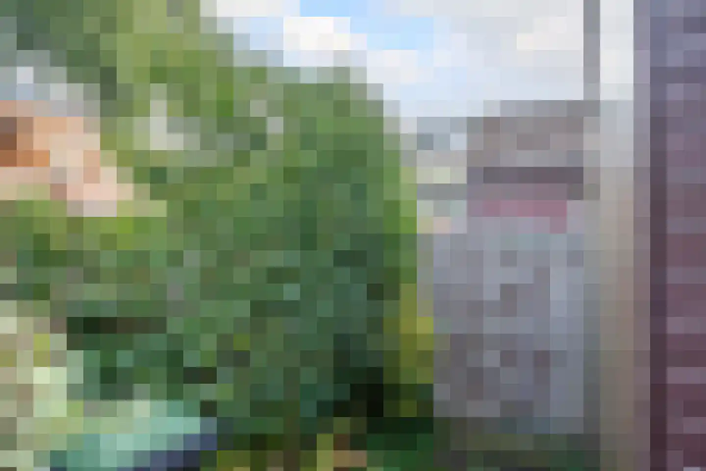 Anjerveld 51 Nieuwerkerk aan den IJssel thumbnail 32