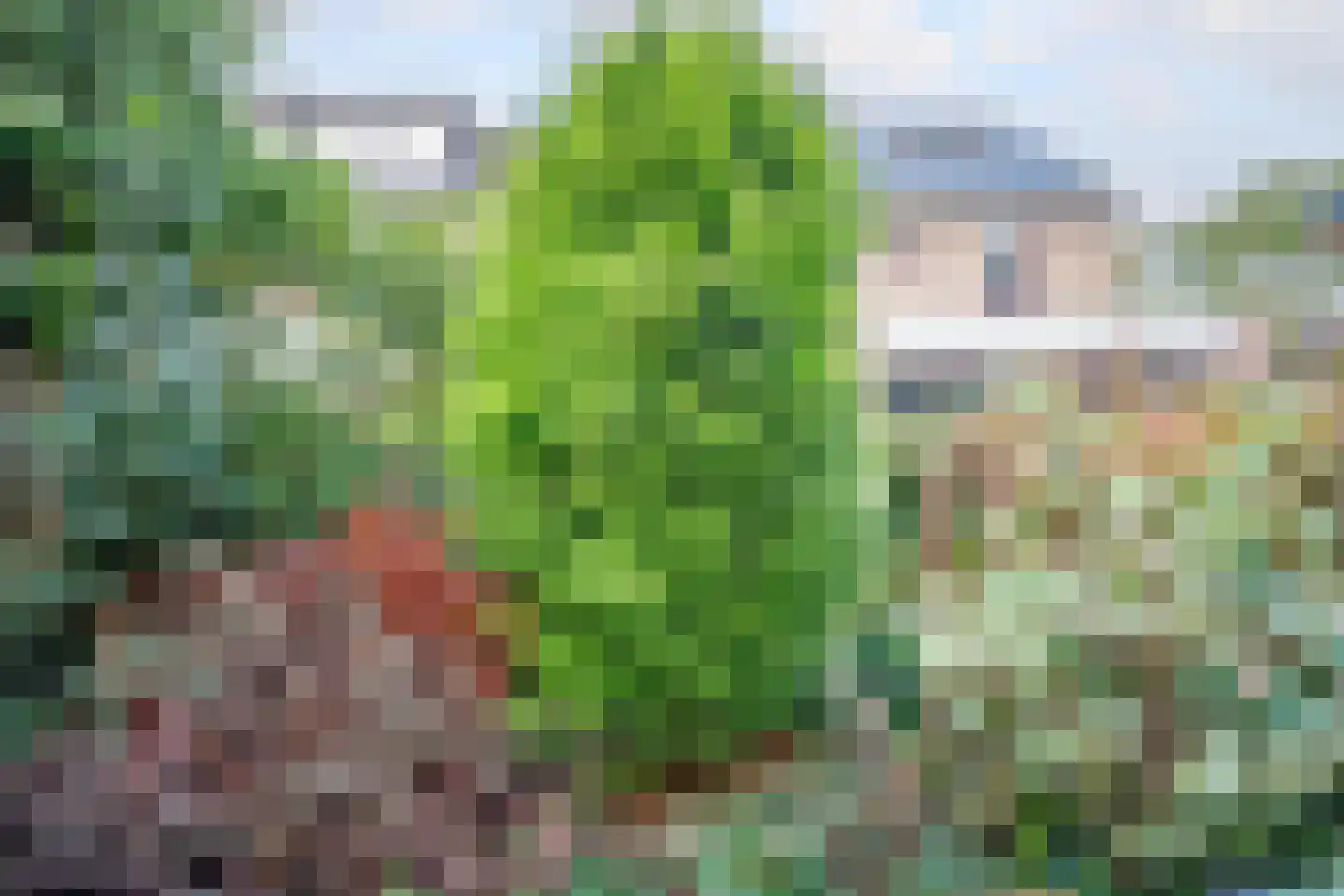 Anjerveld 51 Nieuwerkerk aan den IJssel thumbnail 34