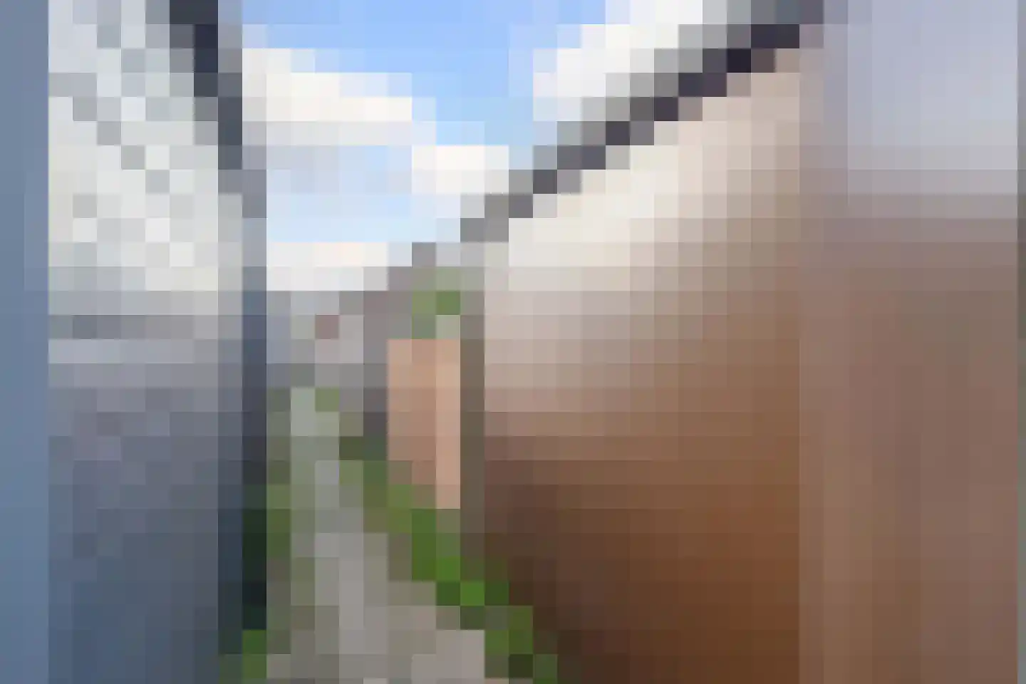 Anjerveld 51 Nieuwerkerk aan den IJssel thumbnail 36
