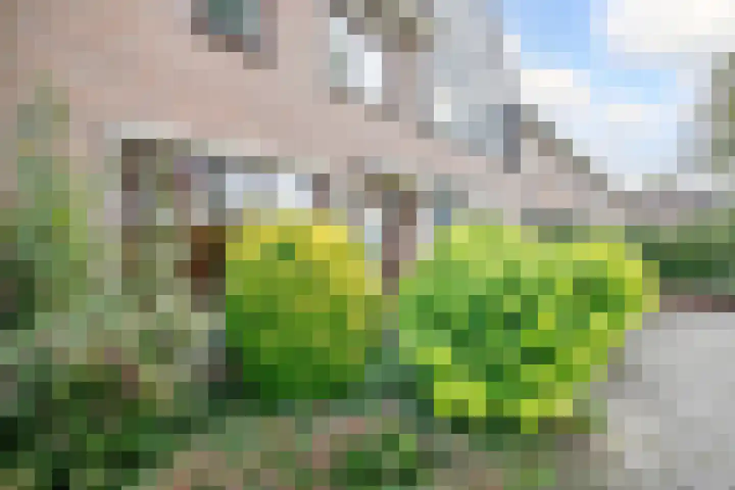 Anjerveld 51 Nieuwerkerk aan den IJssel thumbnail 38