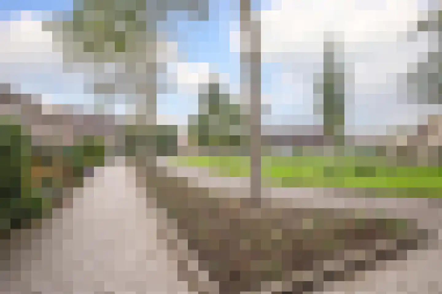 Anjerveld 51 Nieuwerkerk aan den IJssel thumbnail 40