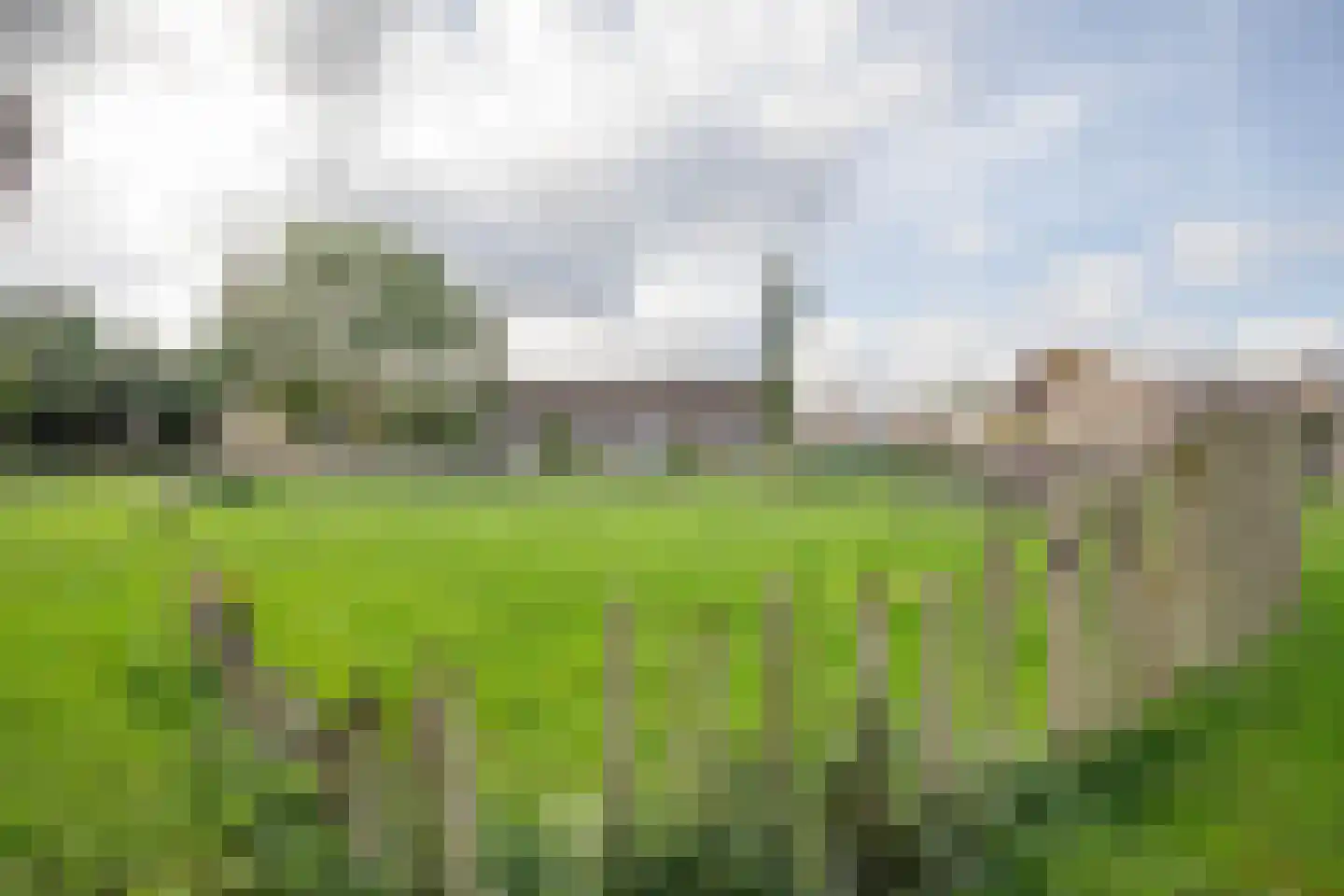Anjerveld 51 Nieuwerkerk aan den IJssel thumbnail 41