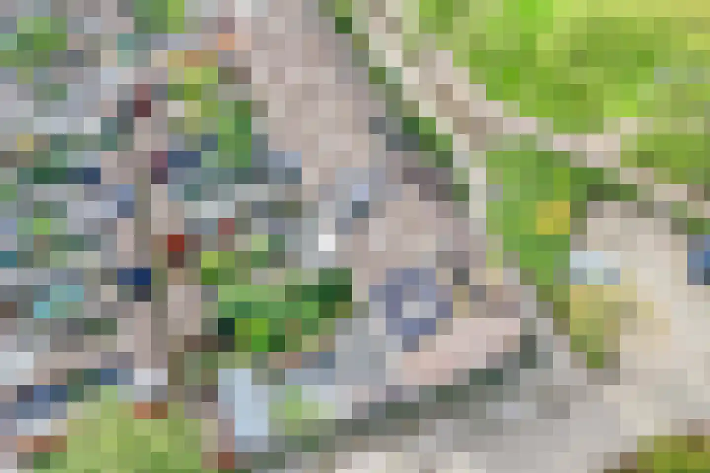 Anjerveld 51 Nieuwerkerk aan den IJssel thumbnail 46