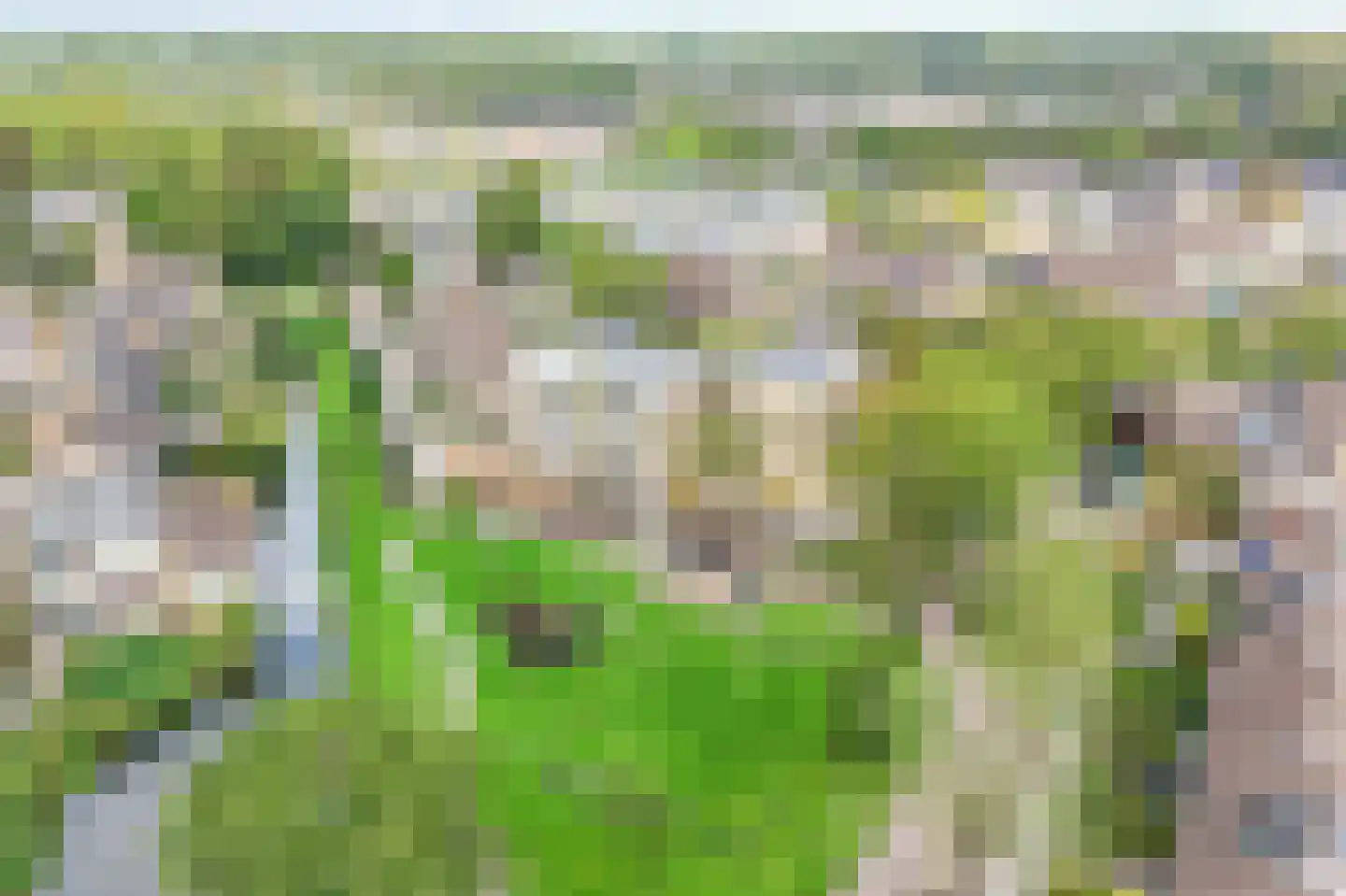 Anjerveld 51 Nieuwerkerk aan den IJssel thumbnail 47