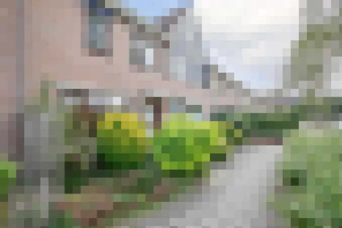 Anjerveld 51 Nieuwerkerk aan den IJssel thumbnail 7