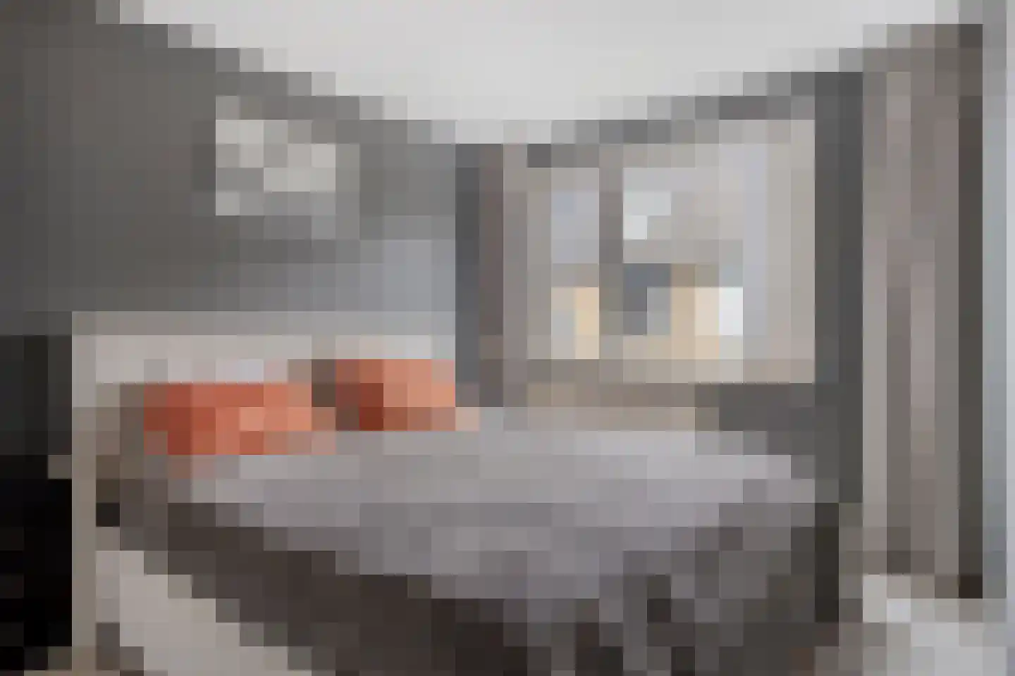 Anjougaard 6 Spijkenisse thumbnail 11