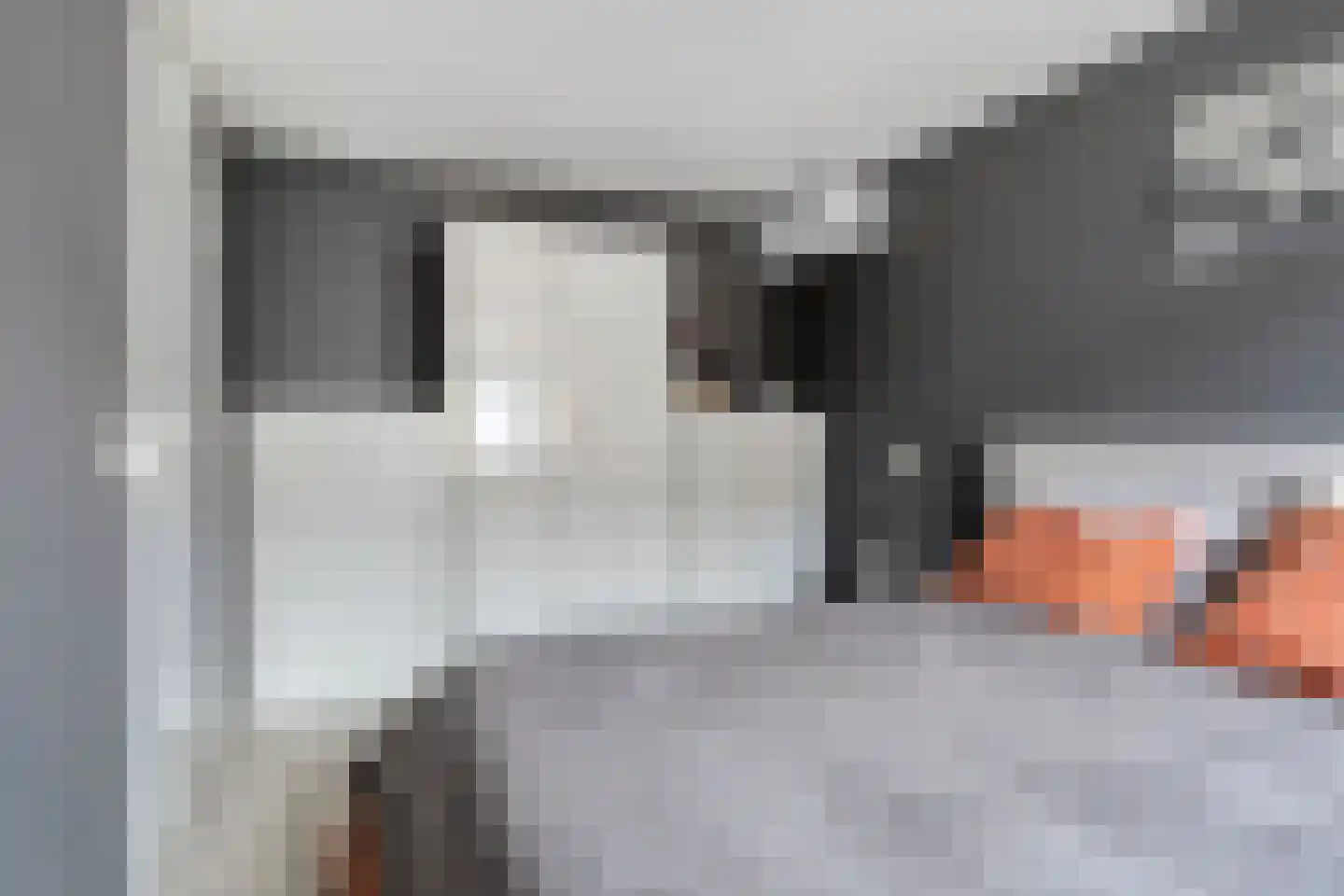 Anjougaard 6 Spijkenisse thumbnail 12
