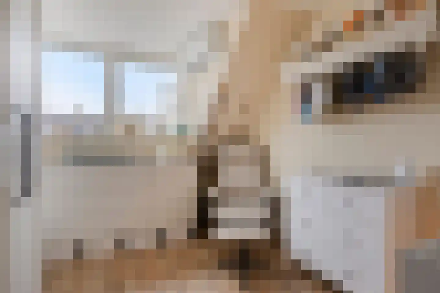 Anjougaard 6 Spijkenisse thumbnail 13