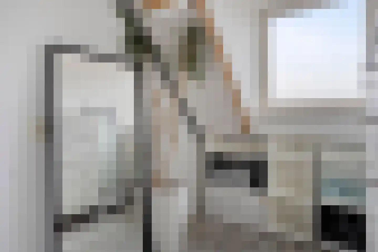 Anjougaard 6 Spijkenisse thumbnail 15