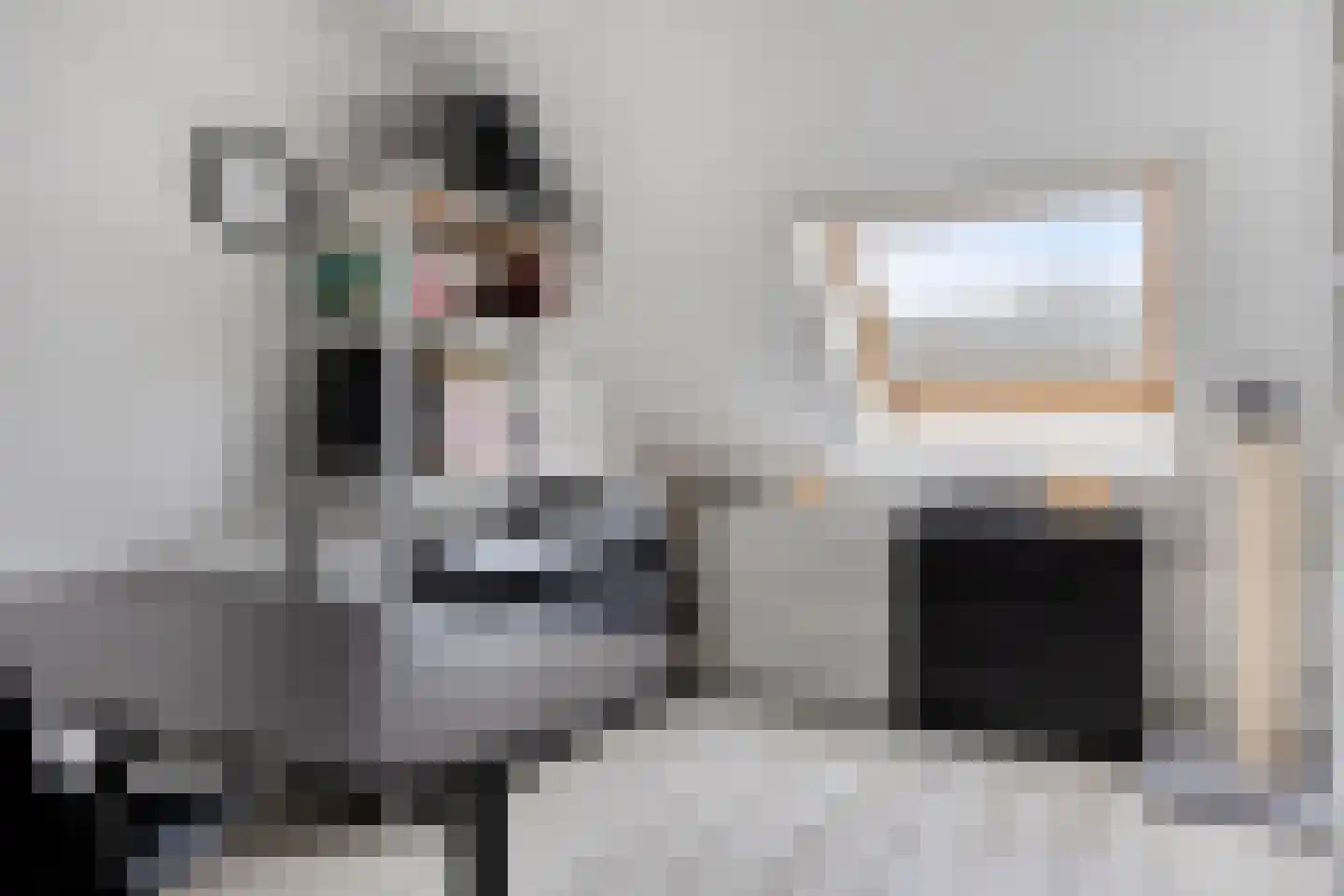 Anjougaard 6 Spijkenisse thumbnail 19