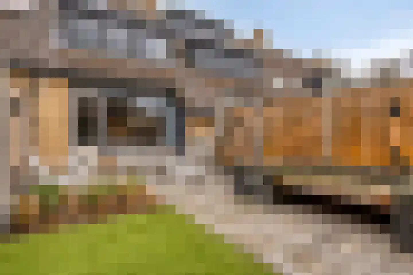 Anjougaard 6 Spijkenisse thumbnail 20