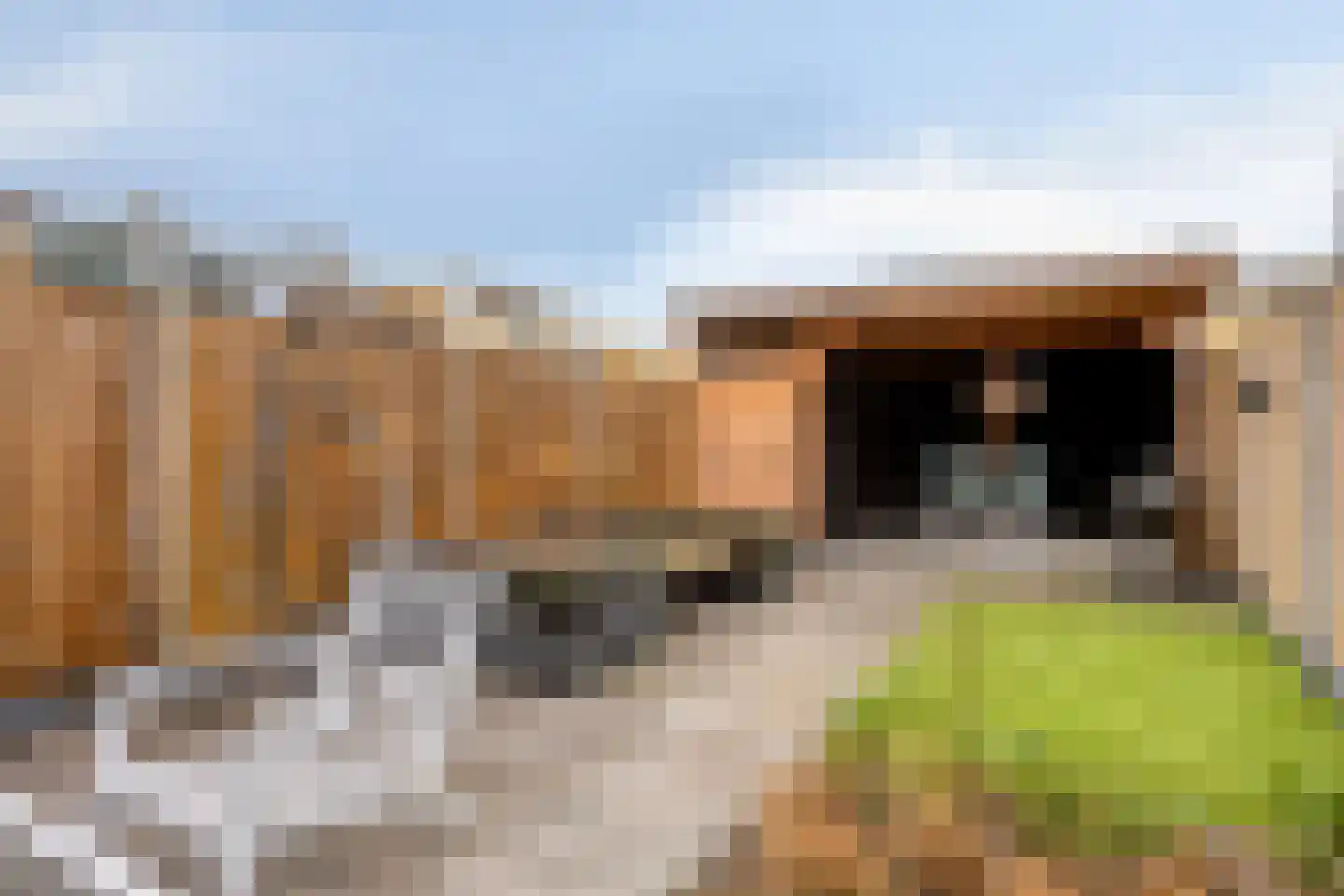 Anjougaard 6 Spijkenisse thumbnail 22