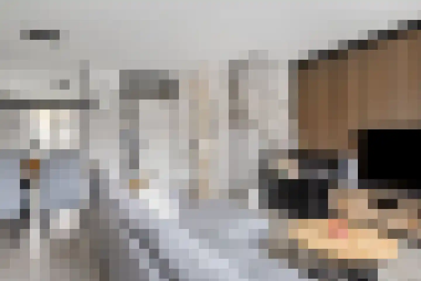 Anjougaard 6 Spijkenisse thumbnail 4