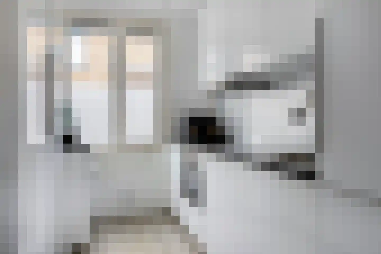 Anjougaard 6 Spijkenisse thumbnail 7