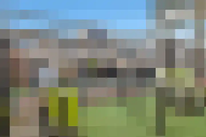 Ank van der Moerplantsoen 10 Heerhugowaard thumbnail 7