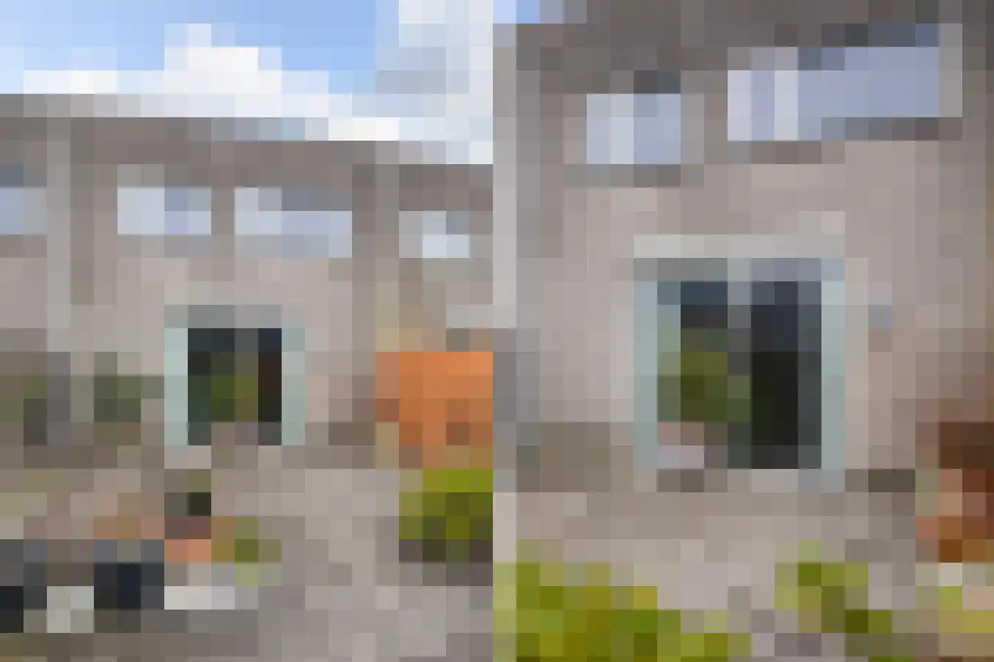 Ank van der Moerplantsoen 20 Heerhugowaard thumbnail 32