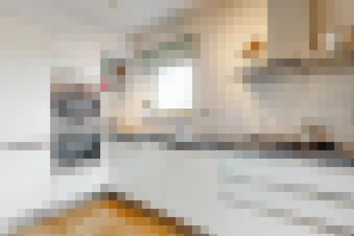 Ank van der Moerstraat 12 Leiden thumbnail 10