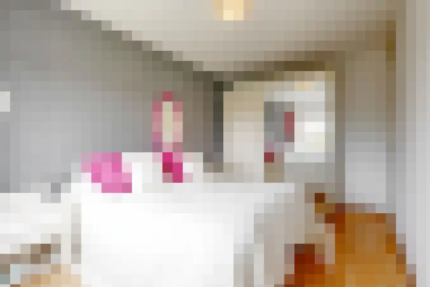 Ank van der Moerstraat 12 Leiden thumbnail 20