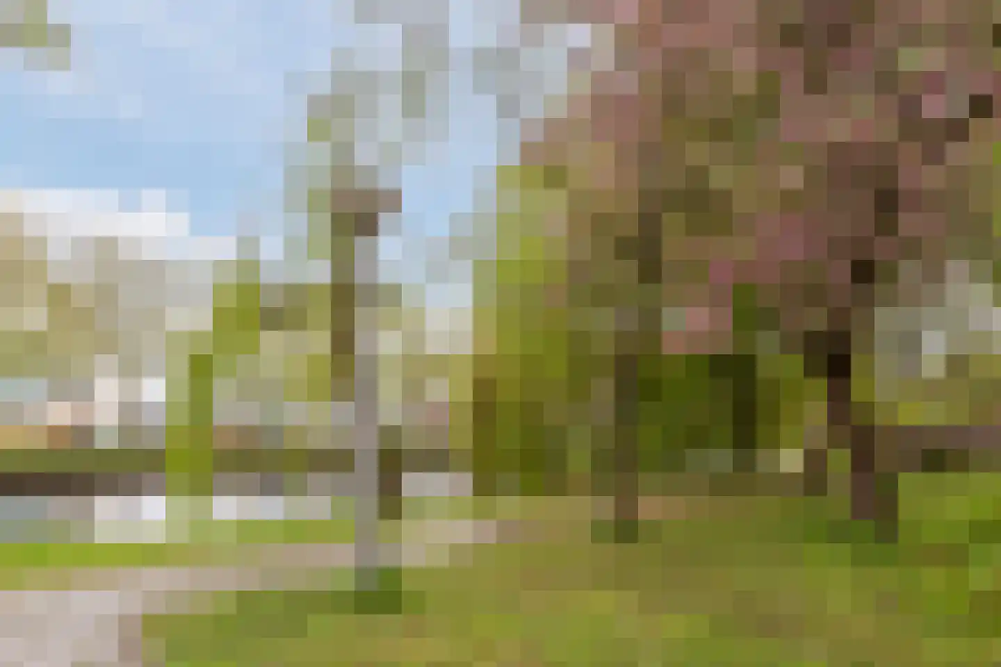 Ank van der Moerstraat 23 D Amsterdam thumbnail 28
