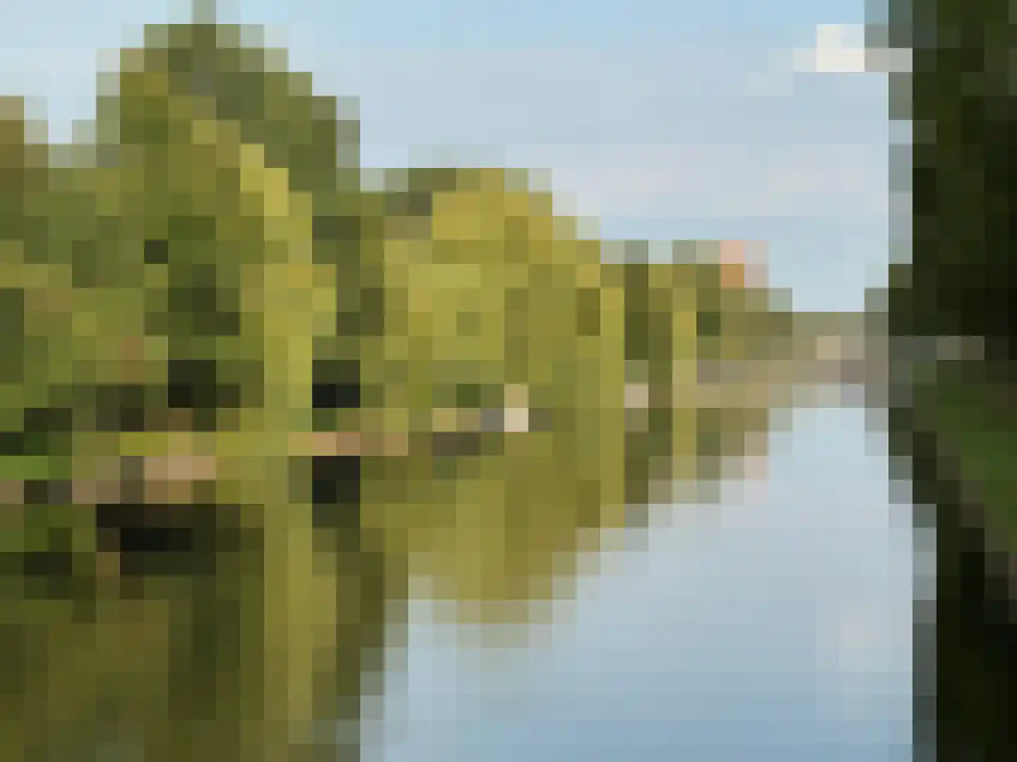 Ank van der Moerstraat 24 Amsterdam thumbnail 36