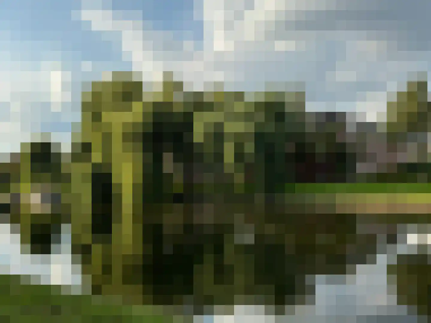 Ank van der Moerstraat 24 Amsterdam thumbnail 37