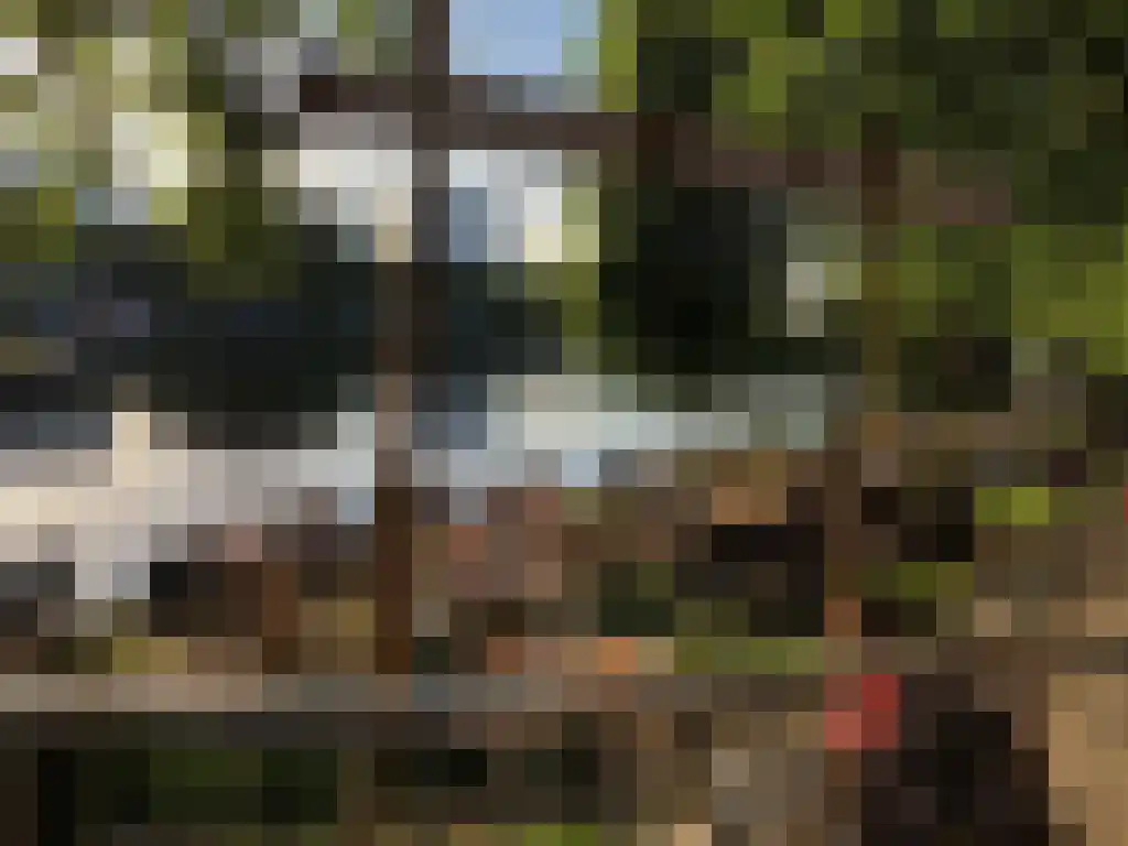 Ank van der Moerstraat 24 Amsterdam thumbnail 43