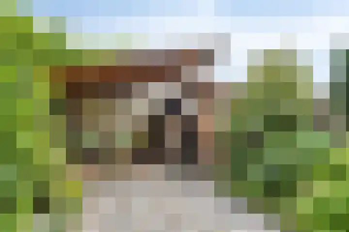 Ank van der Moerstraat 24 Zutphen thumbnail 25