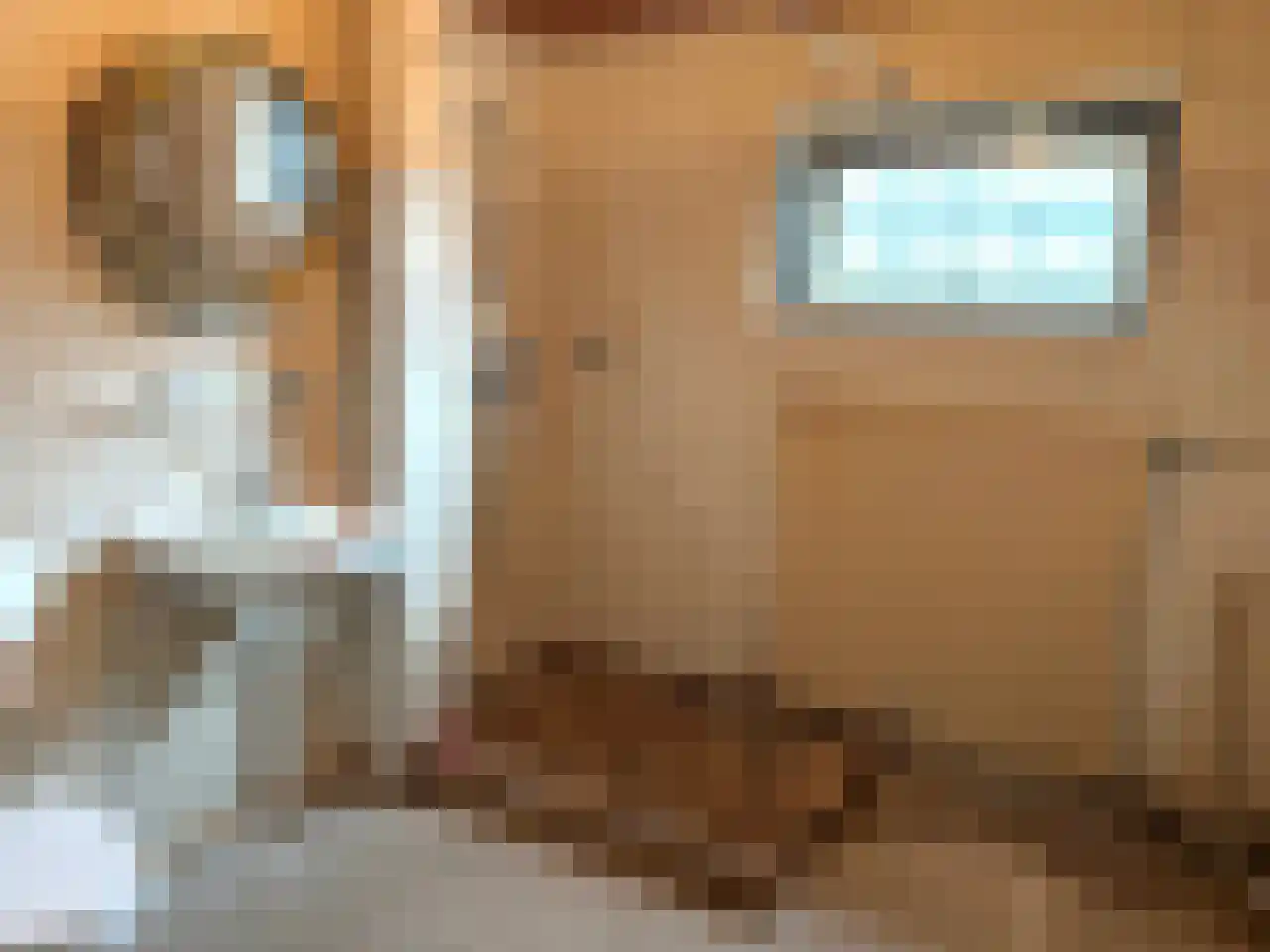 Ankaraplantsoen 4 Haarlem thumbnail 19