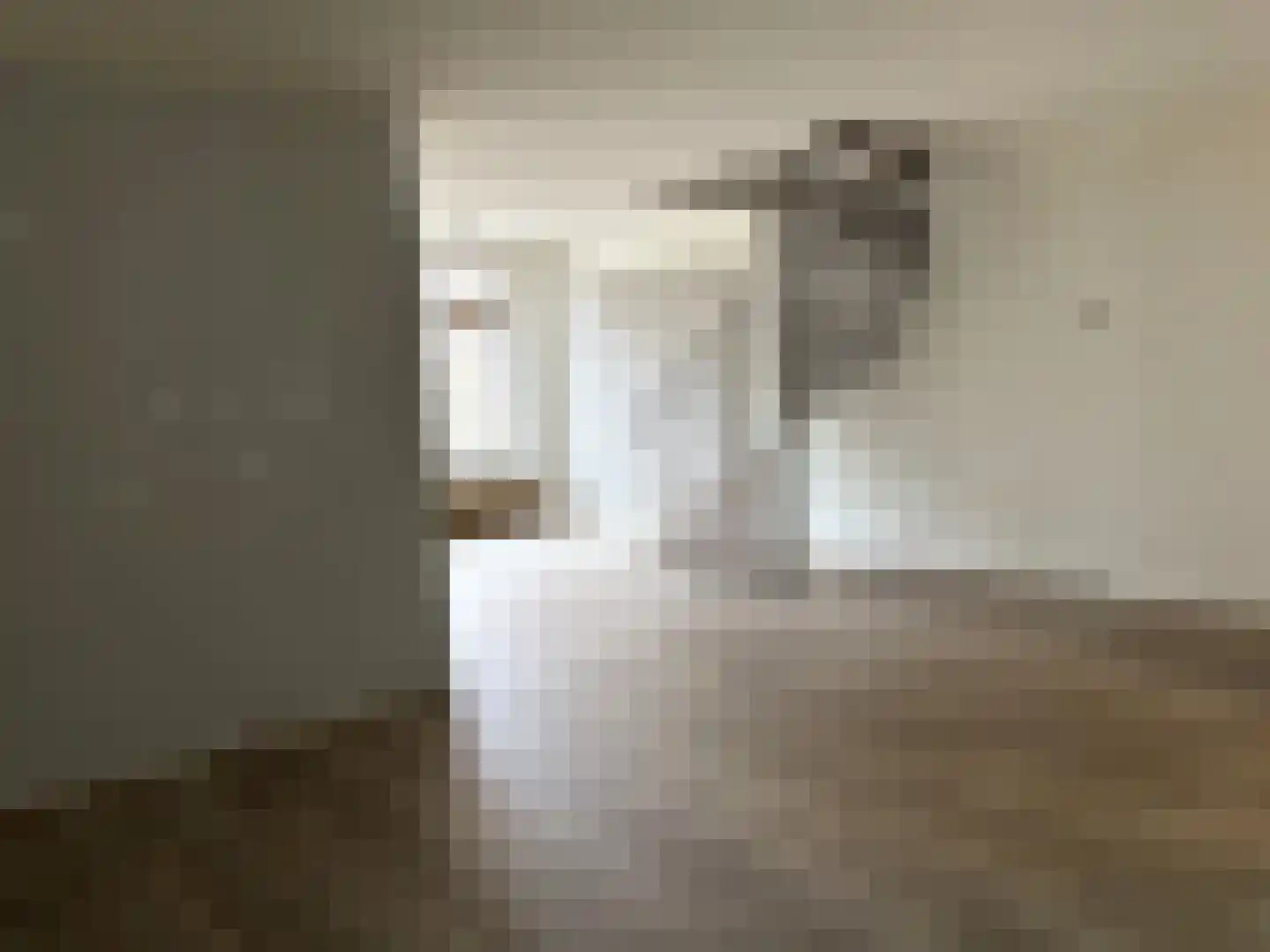 Ankaraplantsoen 4 Haarlem thumbnail 5