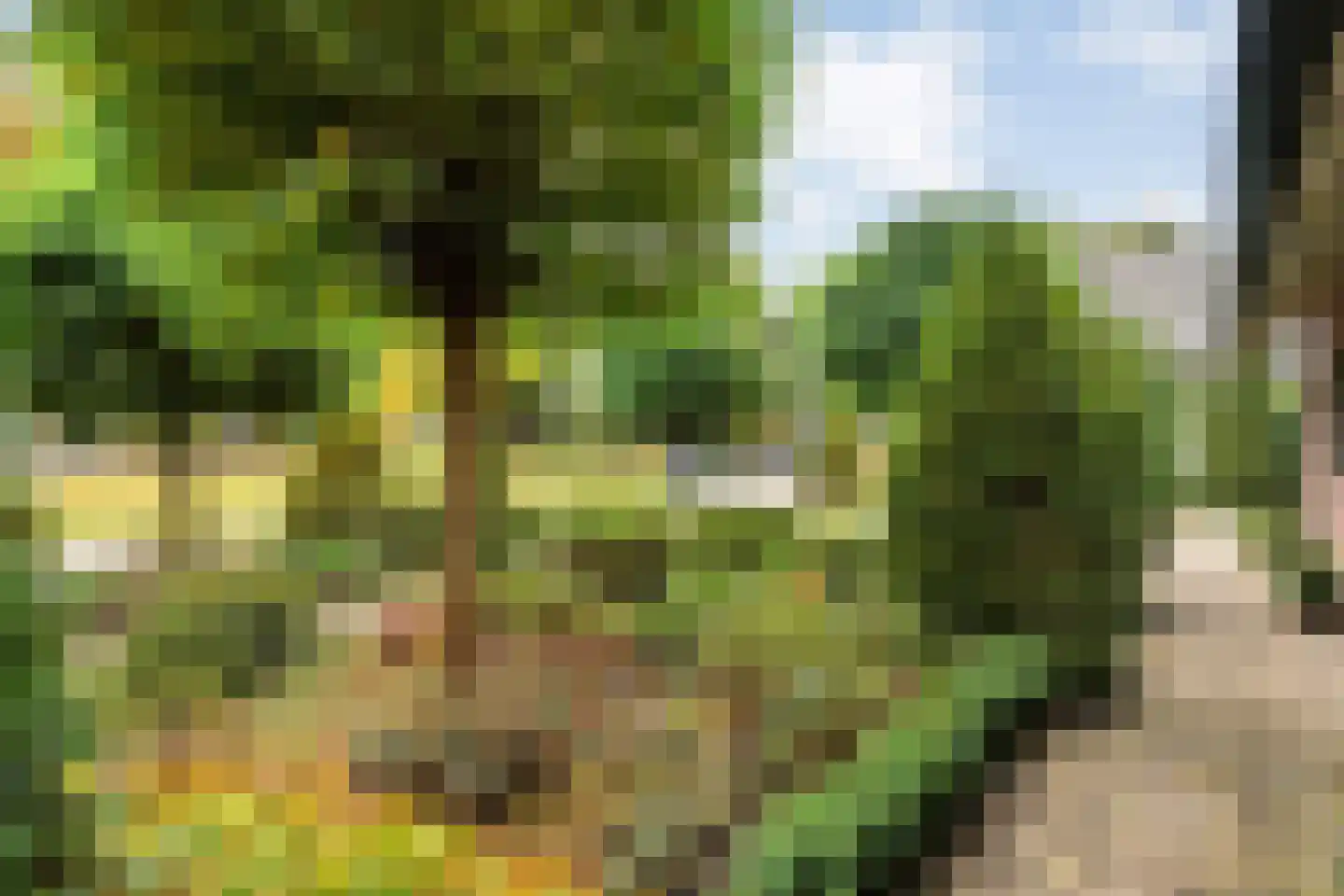 Ankarastraat 4 Hengelo thumbnail 11