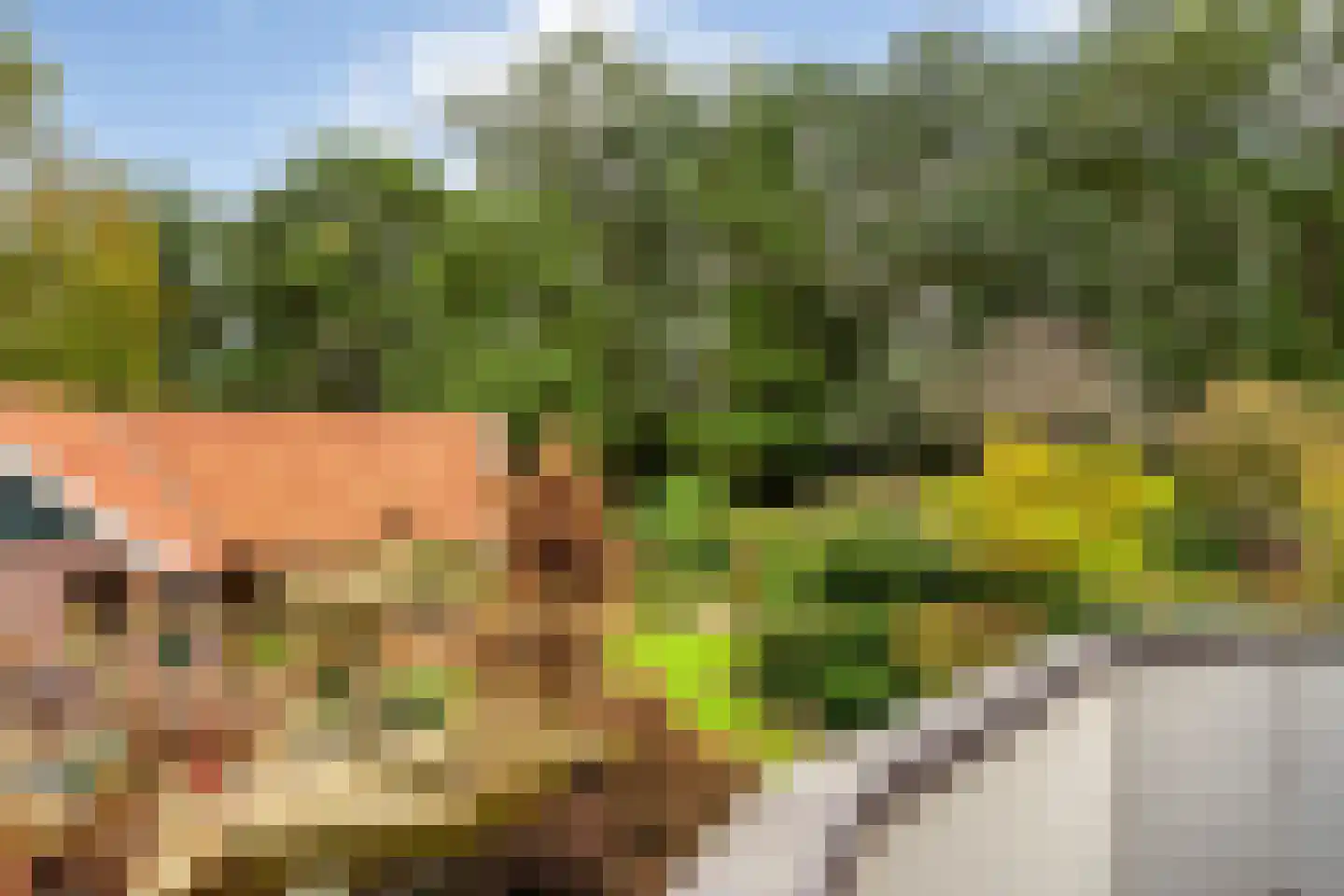 Ankarastraat 4 Hengelo thumbnail 48