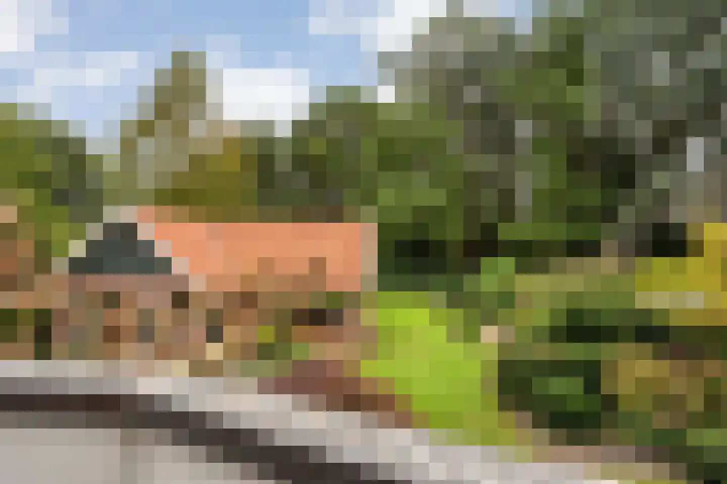 Ankarastraat 4 Hengelo thumbnail 49