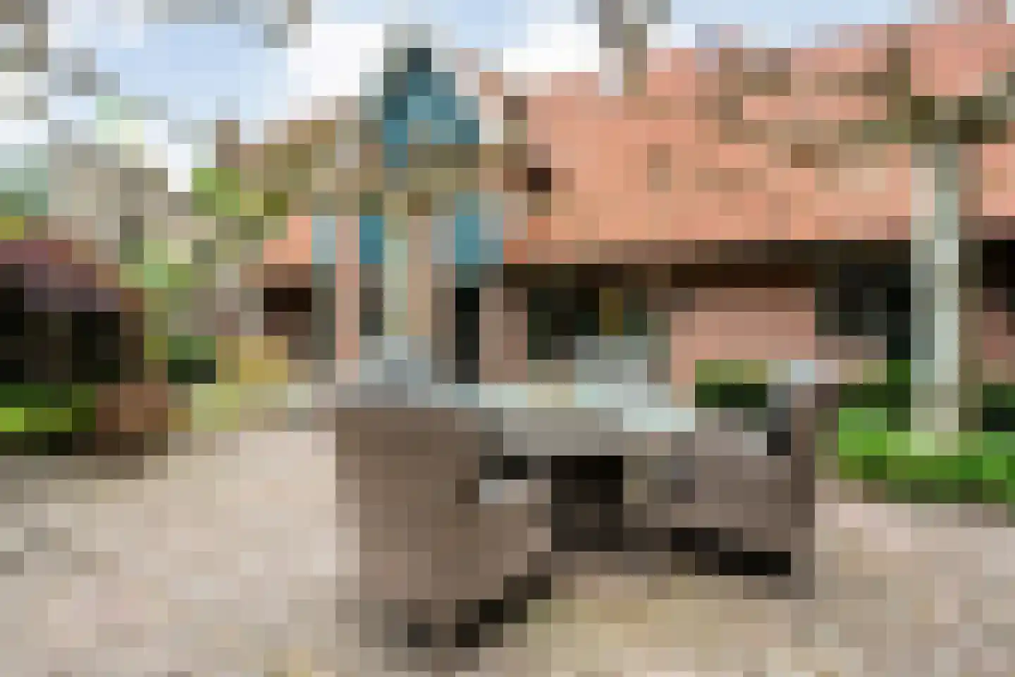 Ankarastraat 4 Hengelo thumbnail 54