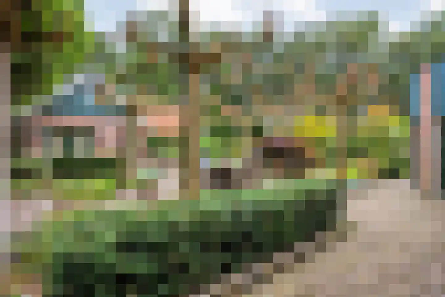 Ankarastraat 4 Hengelo thumbnail 56