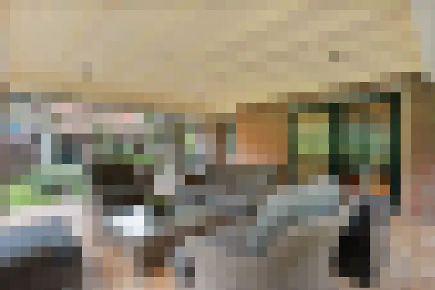 Ankarastraat 4 Hengelo thumbnail 62