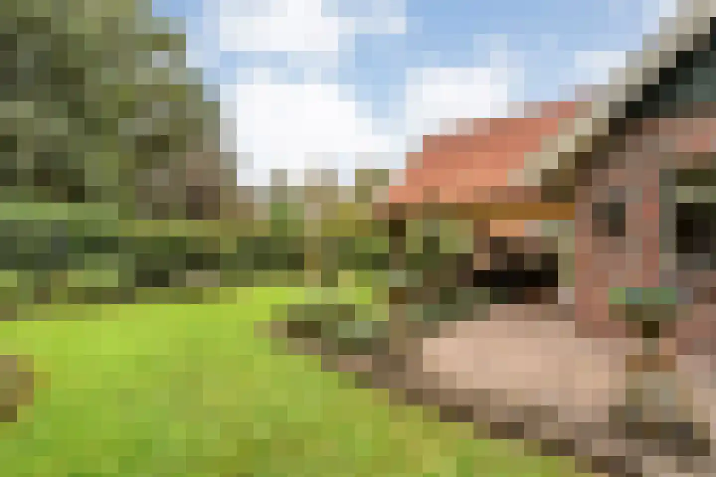 Ankarastraat 4 Hengelo thumbnail 66