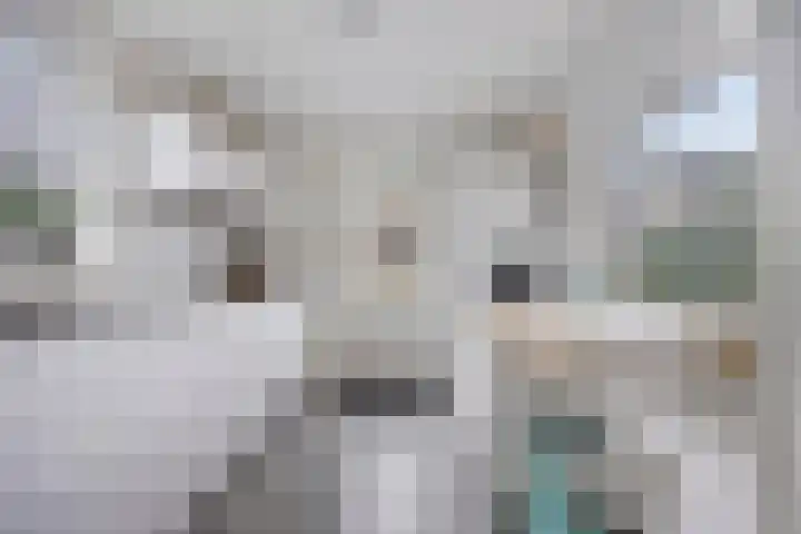 Anke Servaeshof 1 Tilburg thumbnail 23