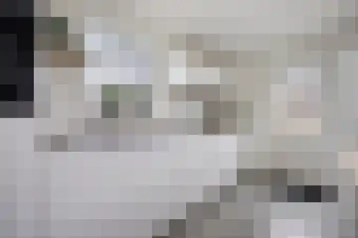 Anke Servaeshof 1 Tilburg thumbnail 24